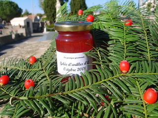 Gelée d'if 